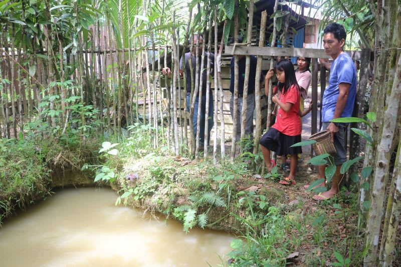 Pak Mingguk, usaha budidaya ikan di desa jelundung, sintang, kalbar